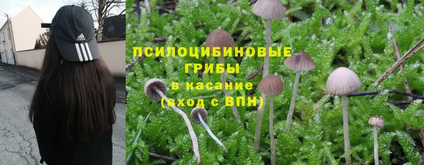 индика Армянск
