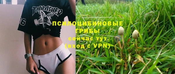 гашик Алзамай