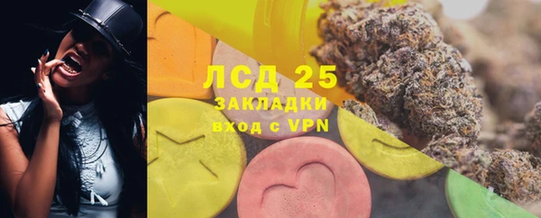 гашик Алзамай